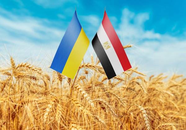 Єгипет і Туреччина можуть частково замістити українське зерно: хто отримає частку ринків