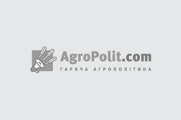 Українсько-російський експорт зерна значно зменшився, спричиняючи зростання світових цін на пшеницю