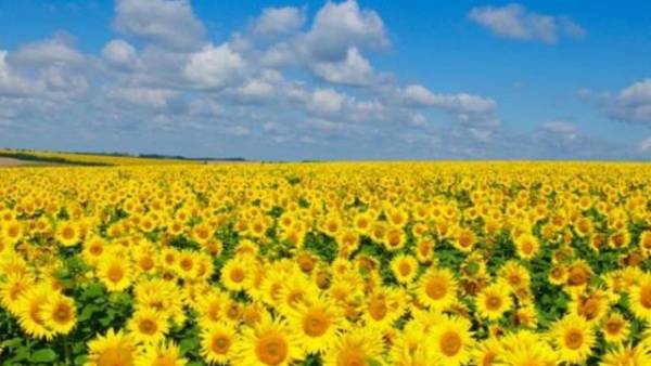 5 серпня: Яке сьогодні свято, що відбувалося цього дня