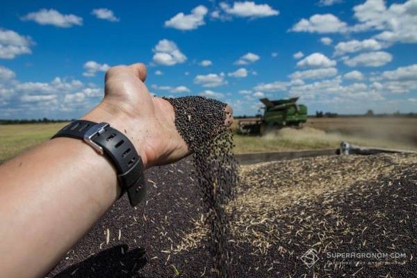 Урожай 2026 року на Кіровоградщині: врожайність усіх ранніх культур вища за минулорічну — SuperAgronom.com