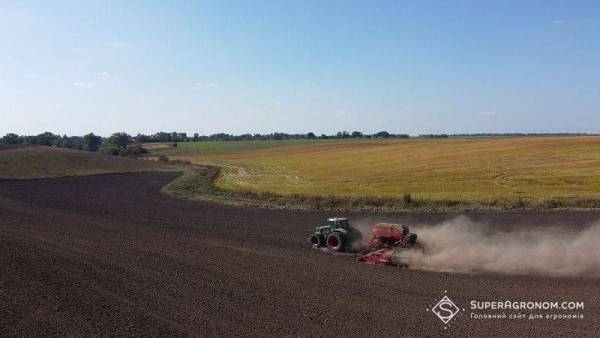 Внесення NPK до посіву озимих: під час посадки або під час обробки ґрунту, але на максимальну глибину — фахівці — SuperAgronom.com