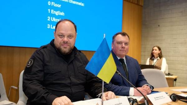 Стефанчук звернувся до парламентів країн Балтії та Північної Європи із закликом до дієвих кроків задля допомоги Україні.