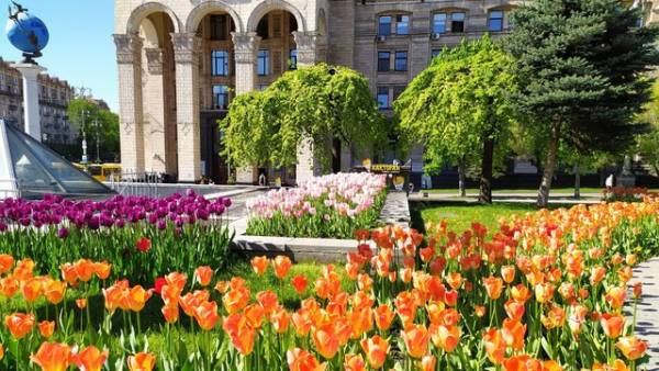 Столиця посіла перше місце за сумою сплаченого екологічного податку; загалом за січень-липень його обсяг збільшився на 0,6% – Державна податкова служба