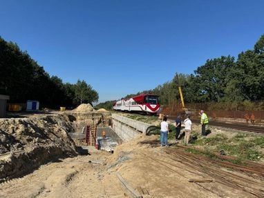 Митниця запускає оновлену систему: які нововведення чекати