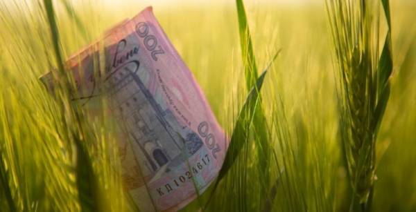 Уряд полегшив аграріям шлях до позик за програмою «5-7-9%» для посівних робіт та господарських потреб — КУРКУЛЬ