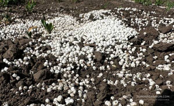 Вартість добрив у серпні зростає, дистриб’ютори припиняють продаж у борг — SuperAgronom.com