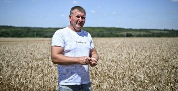 Фермери з прифронтових територій утримуються від зберігання зерна через небезпеку обстрілів — КУРКУЛЬ