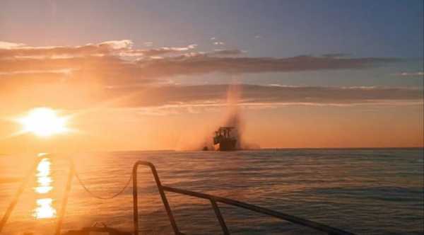 Зеленський переконаний, що росія не виявляє готовності до морського перемир’я з метою експорту зерна.