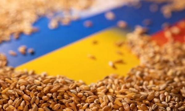 Український агроекспорт у серпні може скоротитися втричі: названо причини