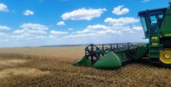 На Донеччині, незважаючи на обстріли, зібрано 60% ранніх зернових — КУРКУЛЬ