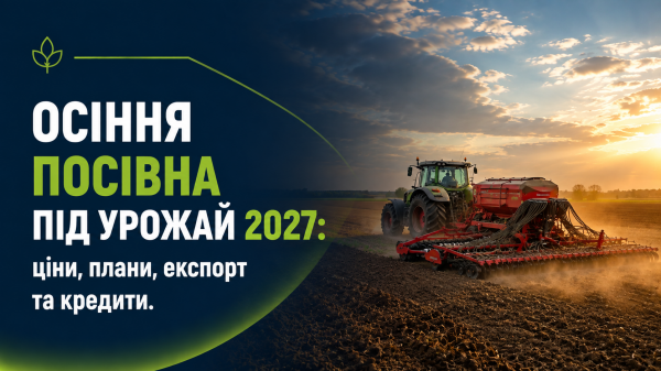 Зберігання посівів озимої пшениці та ріпаку до пізнішого терміну призвело до того, що Румунія змогла зібрати надзвичайний врожай — SuperAgronom.com