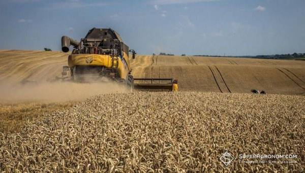 Збір ріпаку та ячменю на Львівщині завершився з вищою врожайністю порівняно з минулим роком, тоді як урожайність пшениці знизилася — SuperAgronom.com