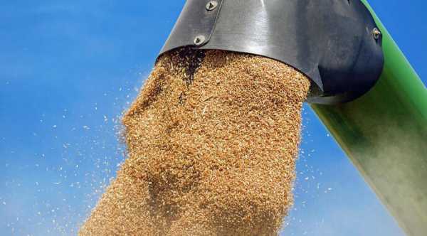 Україна експортувала 900 тисяч тонн сільськогосподарської продукції за серпень.
