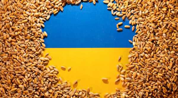 В новому сезоні експортовано 3 мільйони тонн зернових.