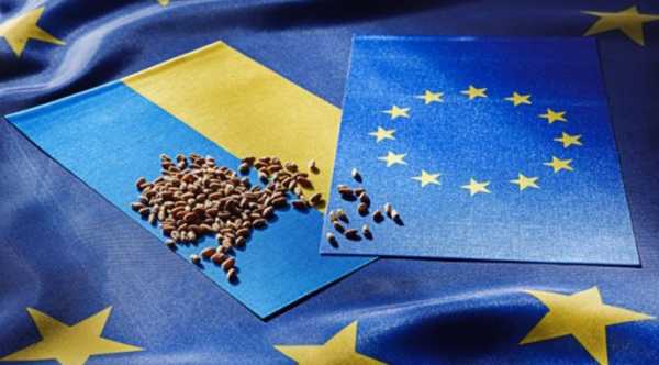 Україна планує обговорити з Європейським Союзом можливість розширення лімітів на експорт сільськогосподарської продукції.