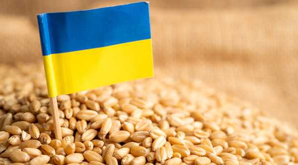 Індонезія запровадила жорсткий контроль за імпортом пшениці: що слід знати експортерам
