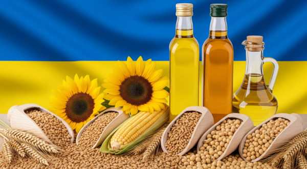 Український агроекспорт упав на 40% через скорочення поставок кукурудзи та ячменю