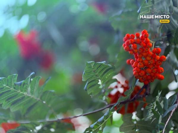 18 вересня: церковне свято, прикмети та народні заборони