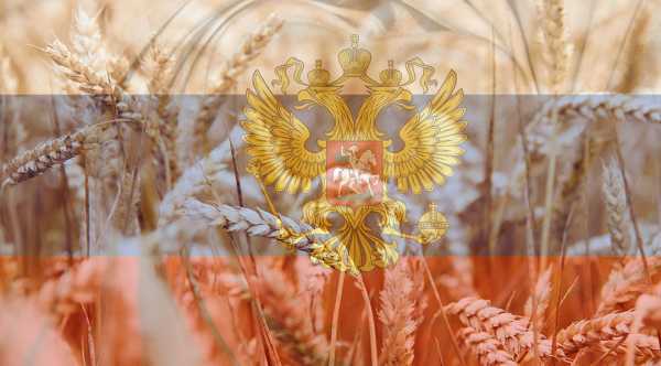 Латвія та Литва заблокують експорт російського зерна