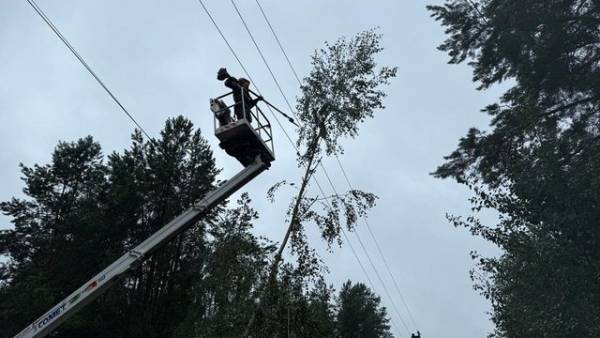 Негода залишила без світла чотири села на Полтавщині