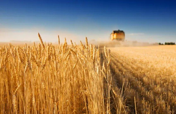 Агрохолдинги України зіткнулися зі збитками