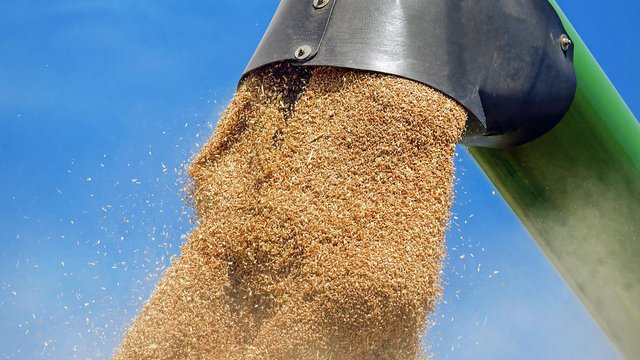 ЄС виділить до 1,2 млрд євро на підтримку українських аграріїв