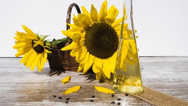 Україна прогнозує рекордний урожай олійних культур