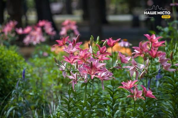 7 вересня: яке церковне свято відзначають сьогодні