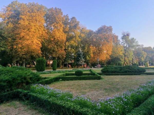 Короткочасний дощ та спека до +28: погода на Полтавщині сьогодні