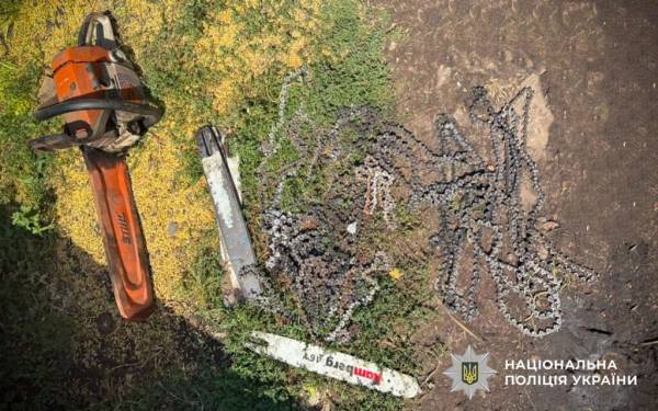 Підозра за вирубку пів тисячі дерев: на Полтавщині ліс “розділили” на 2 мільйони гривень