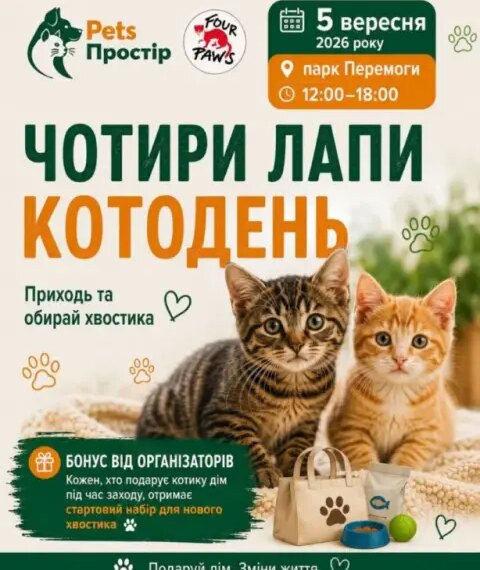 Котодень у Полтаві: шукаємо родини для вусатих друзів