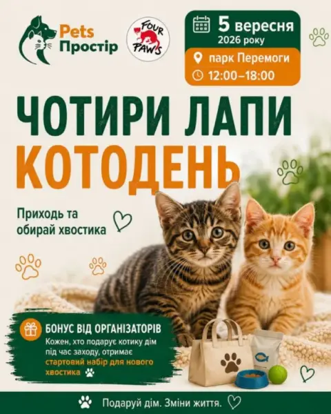 Котодень у Полтаві: шукаємо родини для вусатих друзів