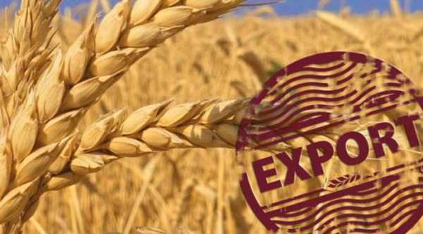 Україна скоротила експорт зерна на 3 мільйони тонн