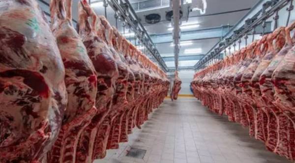 Українських виробників яловичини чекає двоцифрове скорочення