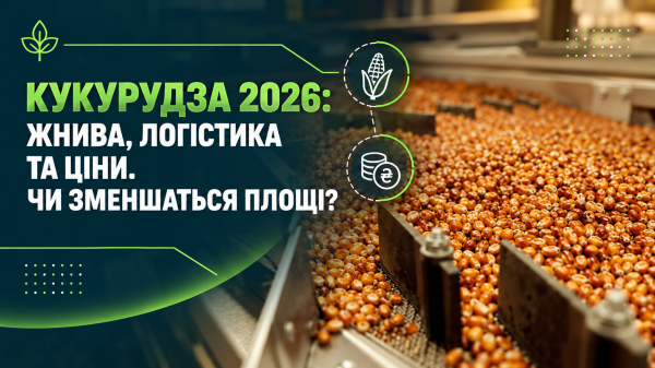 Чернівцізернотрейдер” виплачує аграріям лише 86% вартості зерна